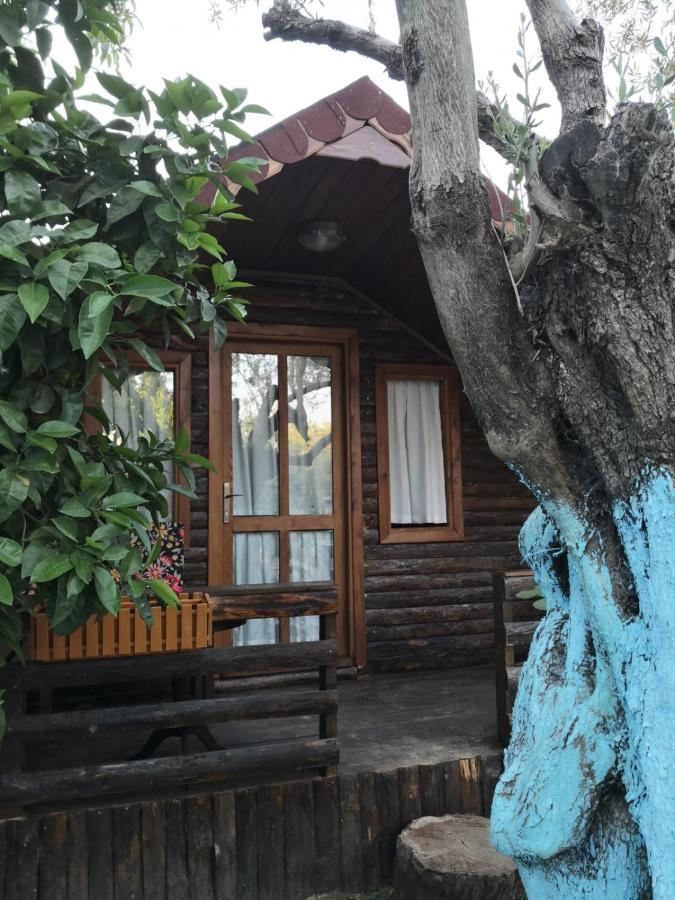 Zeytindagi Bungalow Mehmetalani Kültér fotó