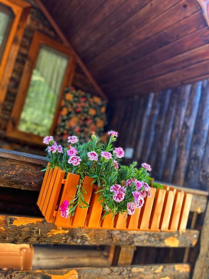 Zeytindagi Bungalow Mehmetalani Kültér fotó