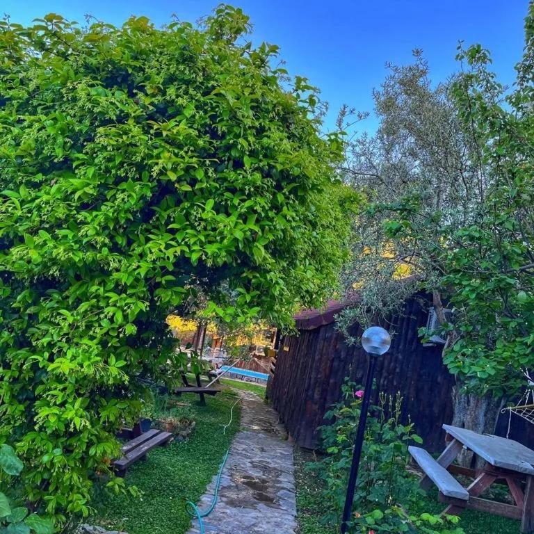 Zeytindagi Bungalow Mehmetalani Kültér fotó