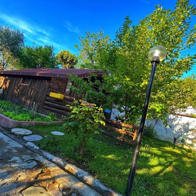 Zeytindagi Bungalow Mehmetalani Kültér fotó